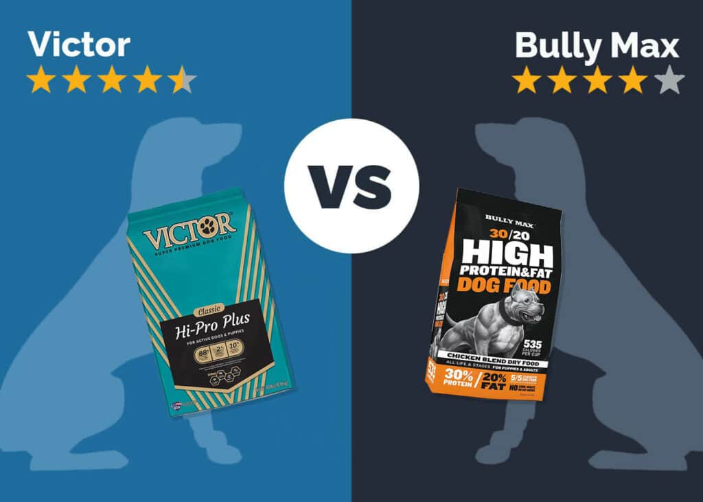 Victor vs Bully Max