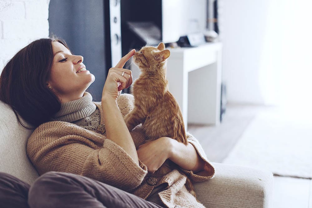 Người phụ nữ trẻ mặc áo len ấm áp đang nghỉ ngơi với một con mèo