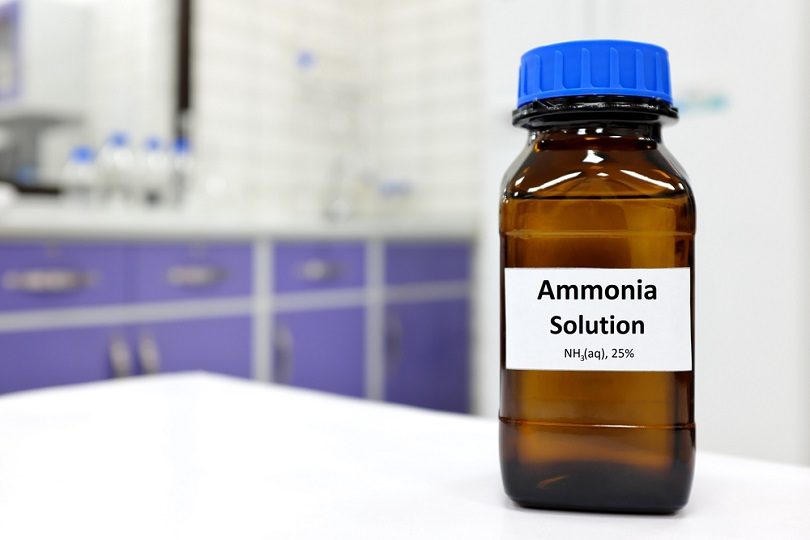 dung dịch amoniac-hoặc-ammonium-hydroxide_sulit.photos_shutterstock