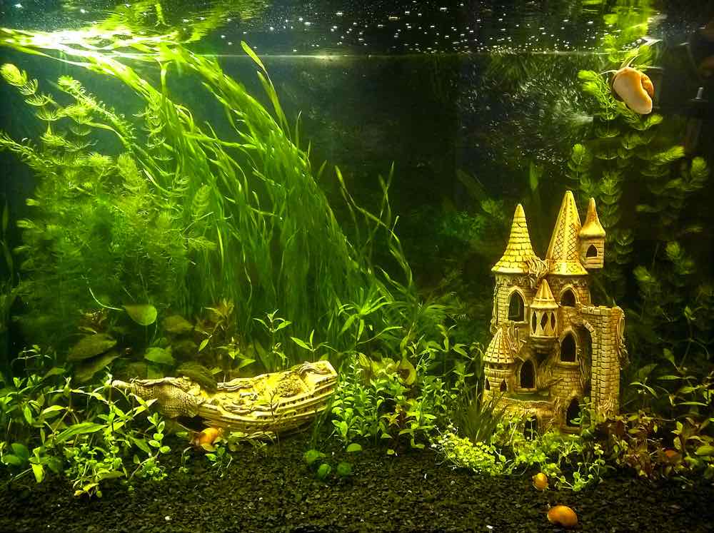 aquarium castle