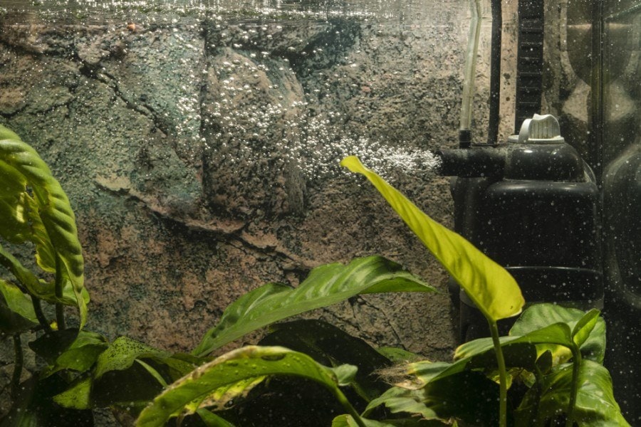 aquarium filter nozzle with bubbles