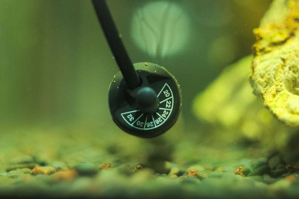 aquarium-heater