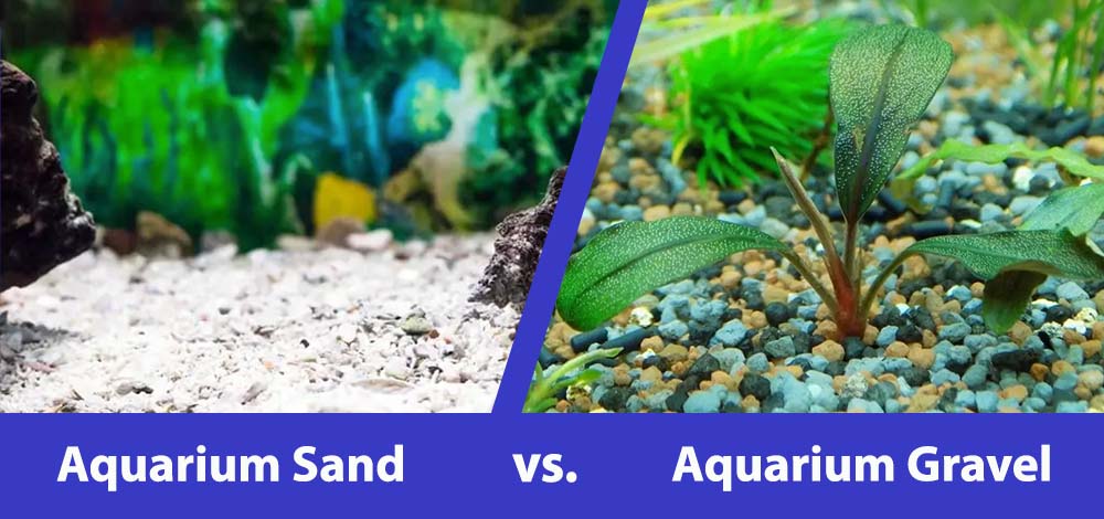 aquarium sand vs gravel