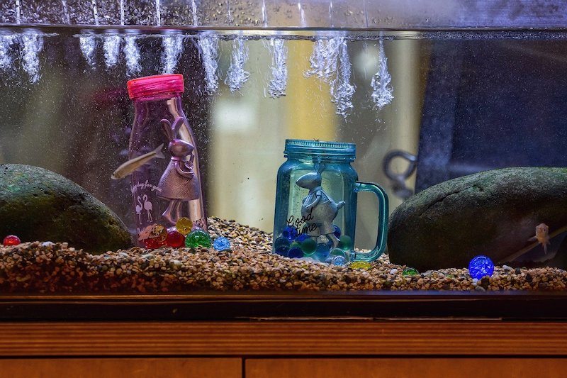 aquarium spray bar