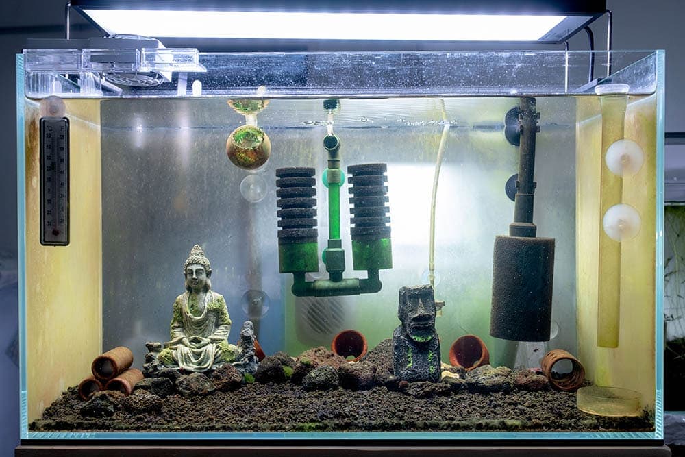 Homemade fish filter cheap