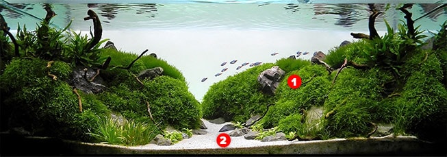 Beginner Aquascaping