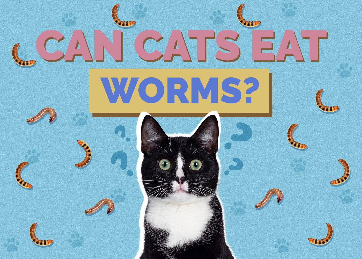 Can Cats Eat Worms