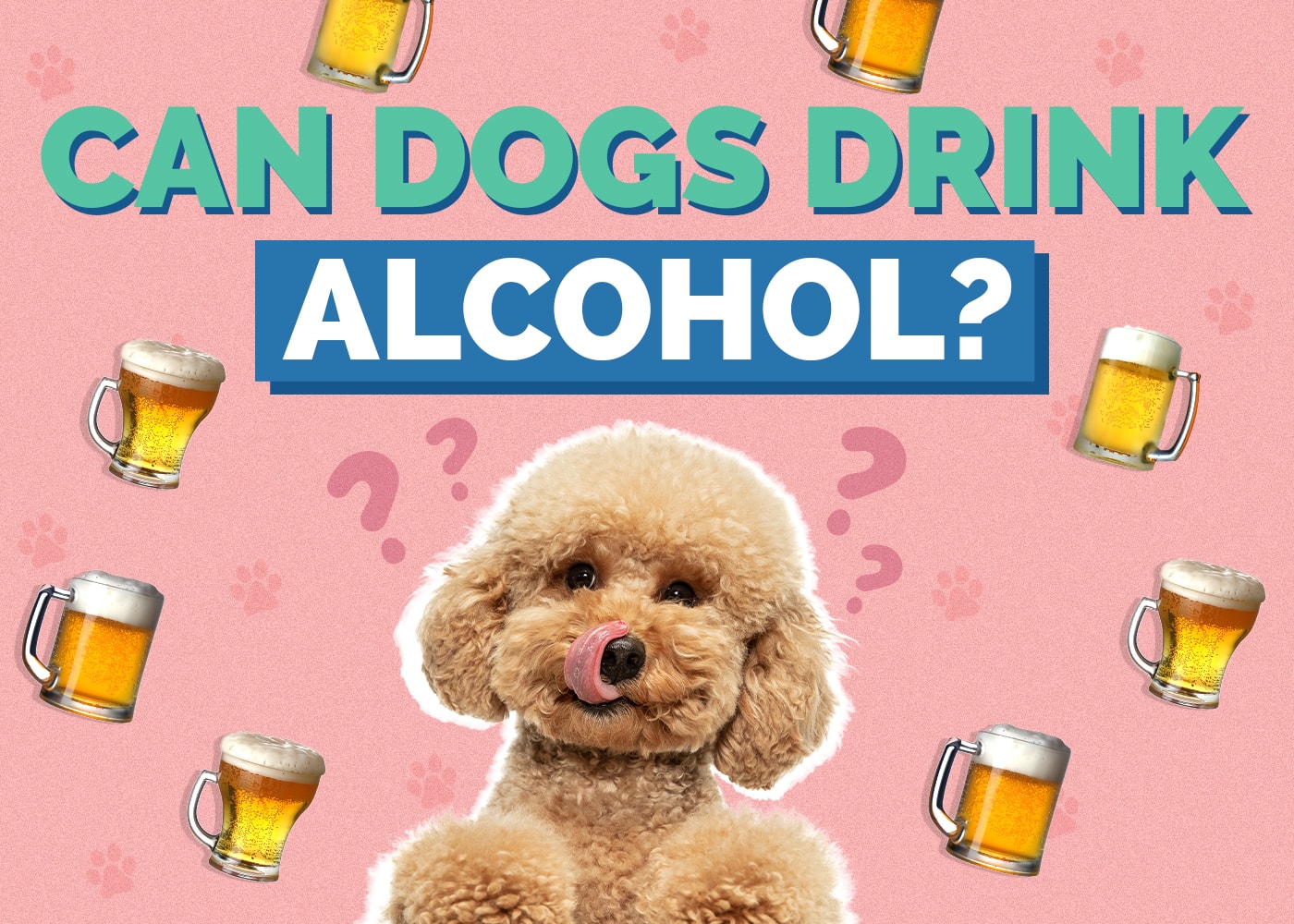 Can Dogs Drink Alcohol