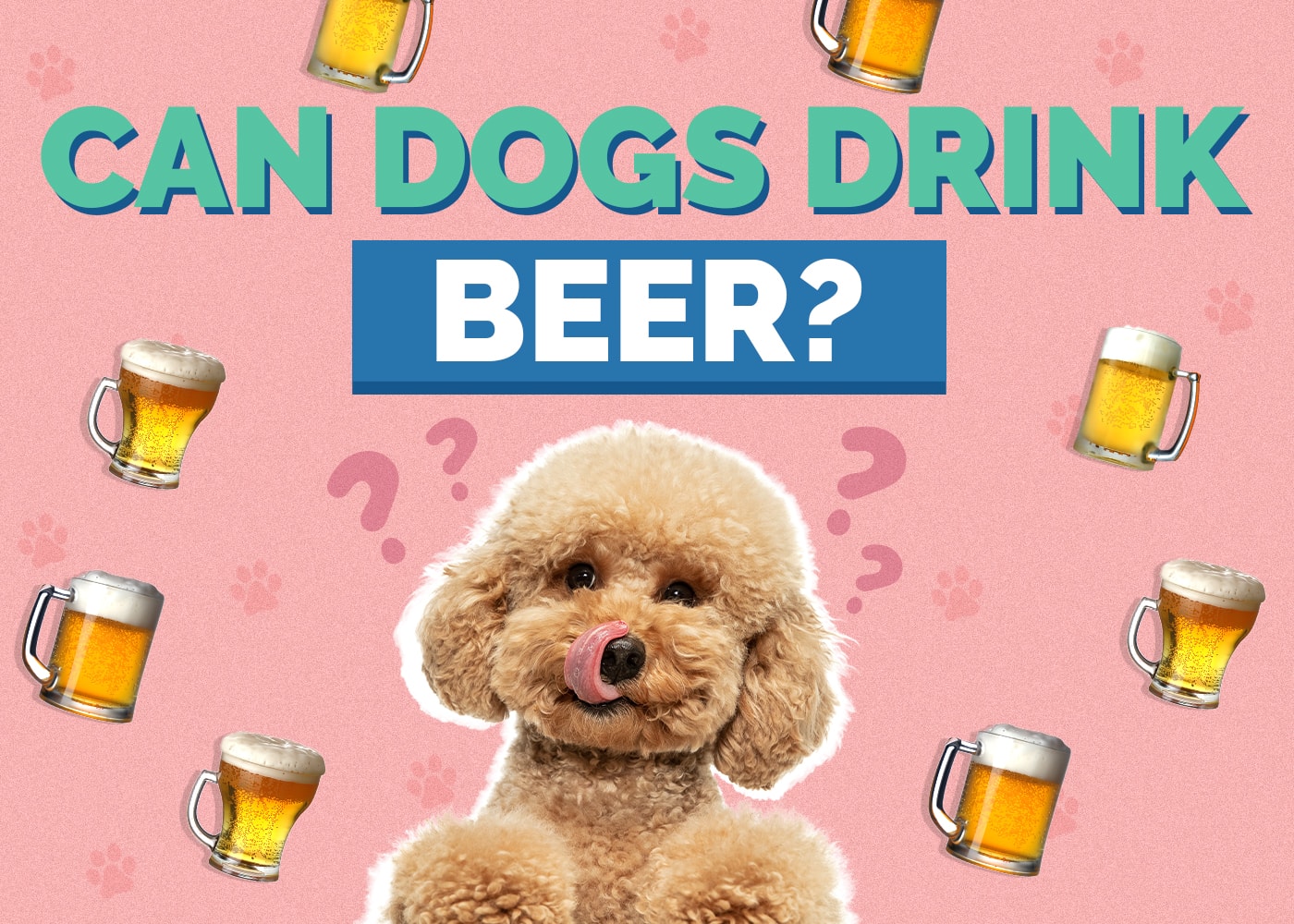 Can Dogs Drink Beer
