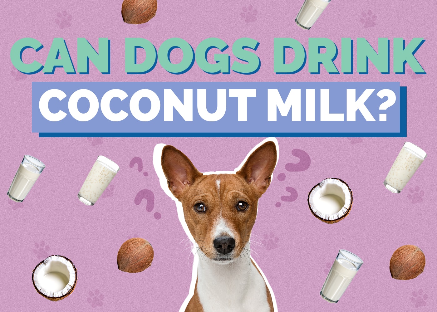 Can Dogs Drink Coconut Milk
