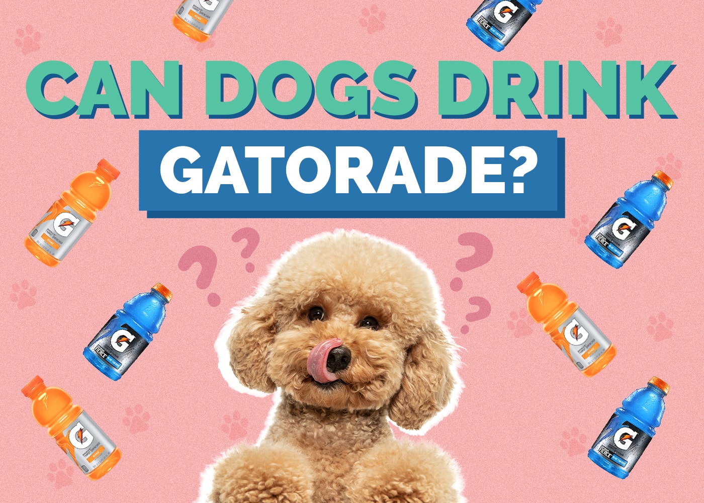 Can Dogs Drink Gatorade