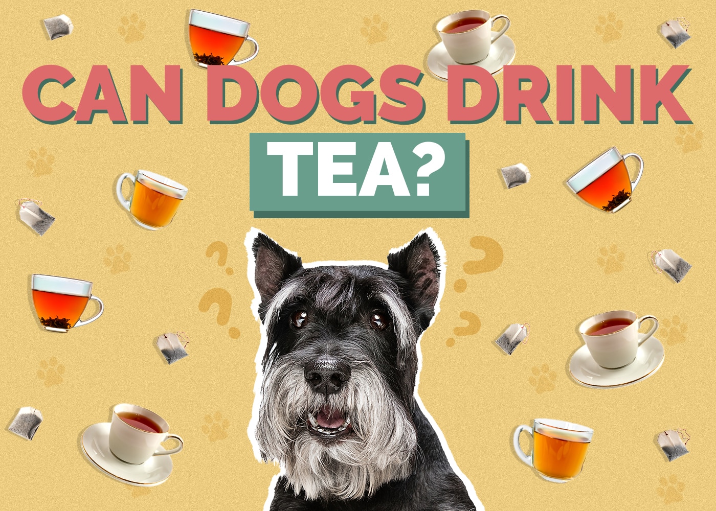 Can Dogs Drink Tea? VetReviewed Risks, Facts, & Safety Guide Hepper