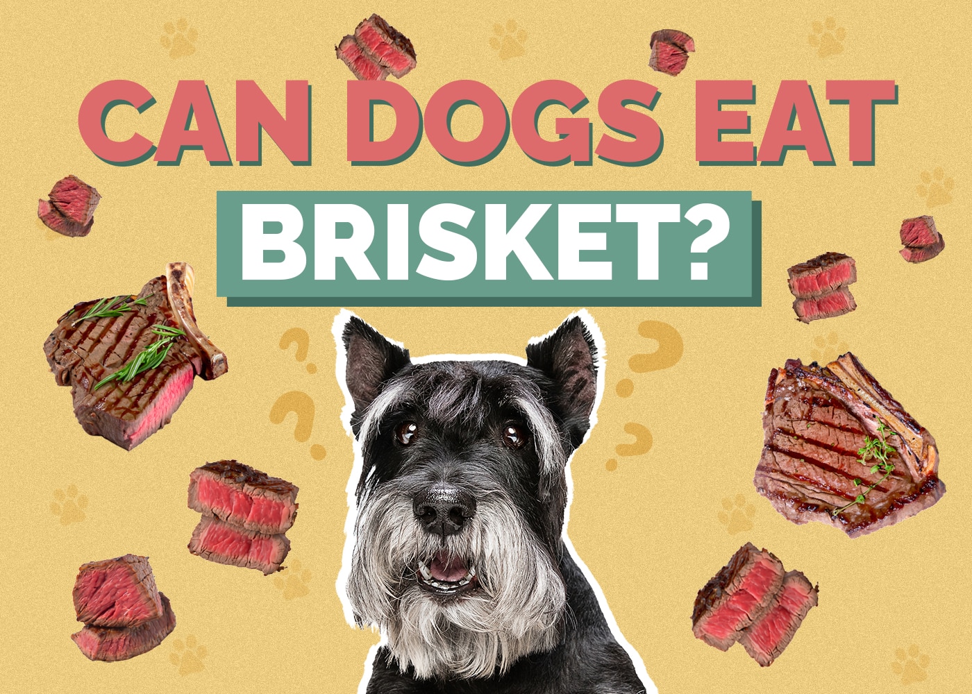 Can Dogs Eat Brisket