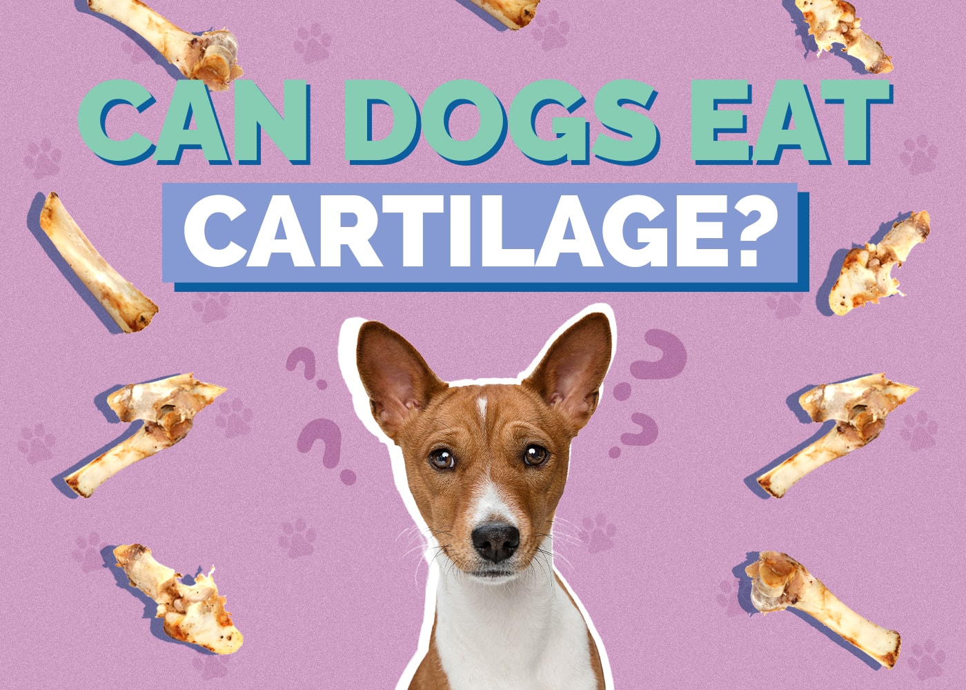 Can Dogs Eat Cartilage