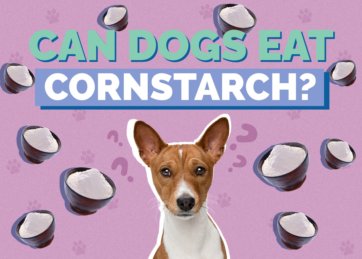 Can Dogs Eat Cornstarch