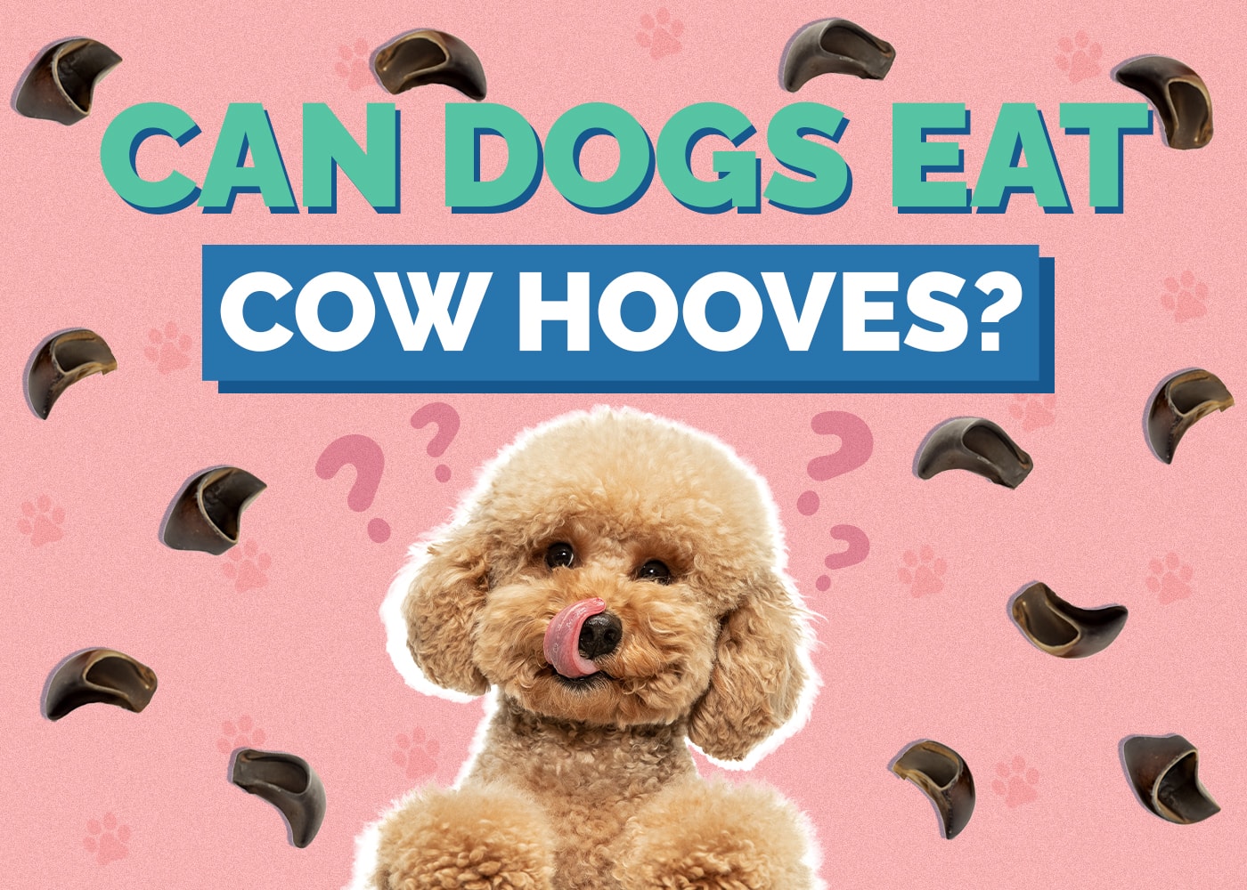 Can Dogs Eat Cow Hooves