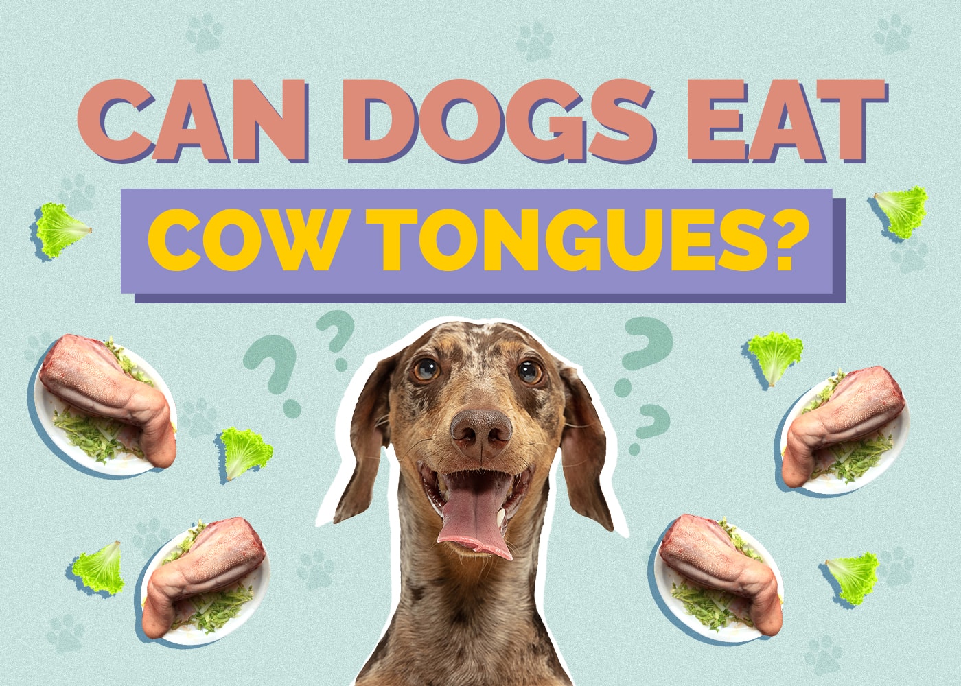 Can Dogs Eat Cow Tongues