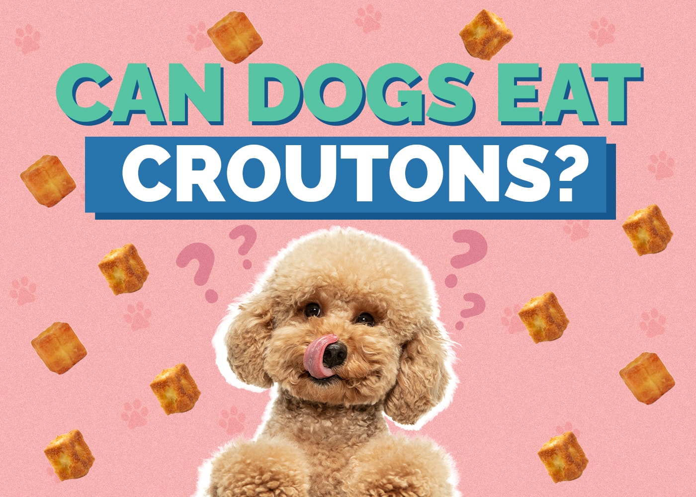 Can Dogs Eat Croutons