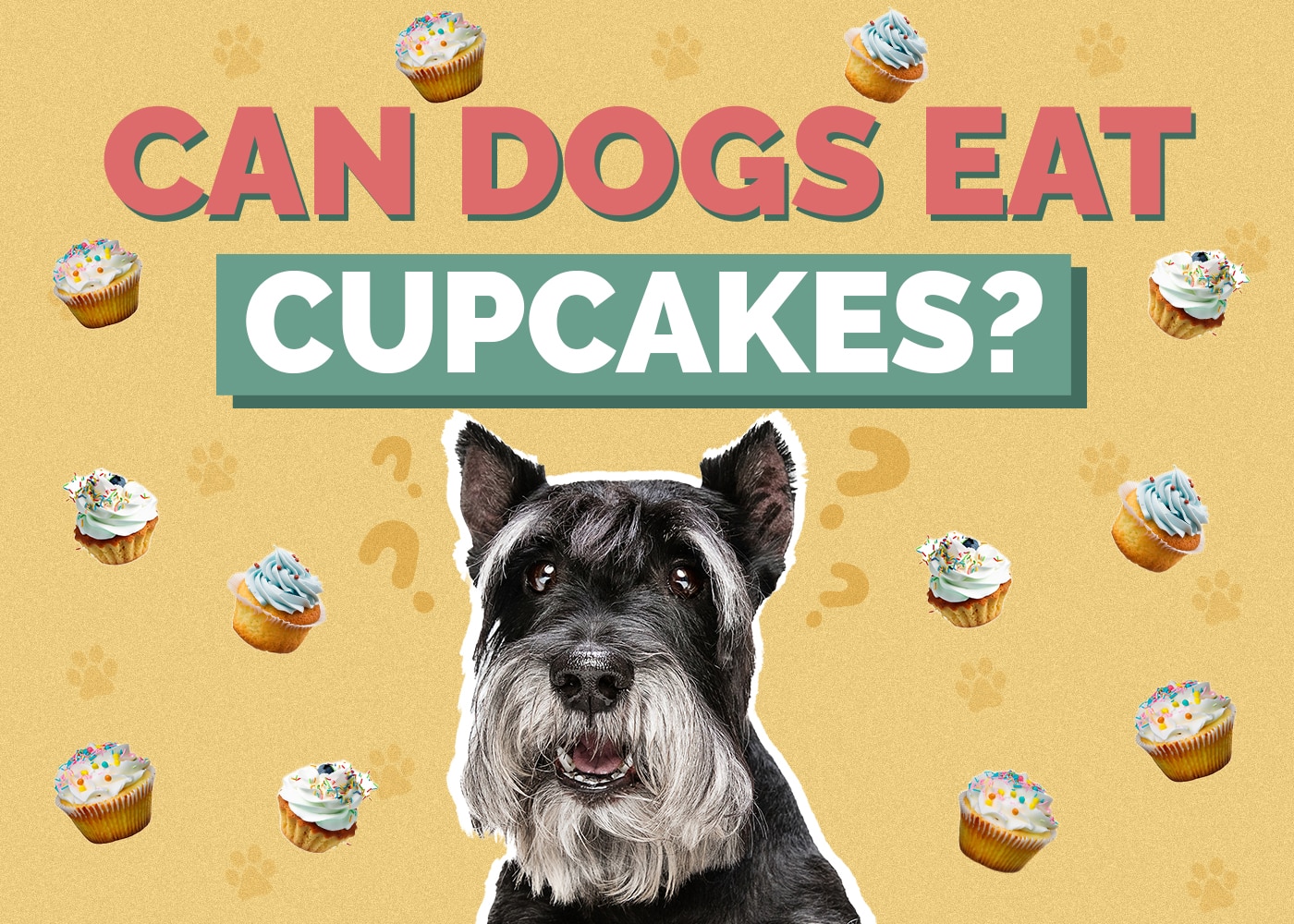 Can Dogs Eat Cupcakes