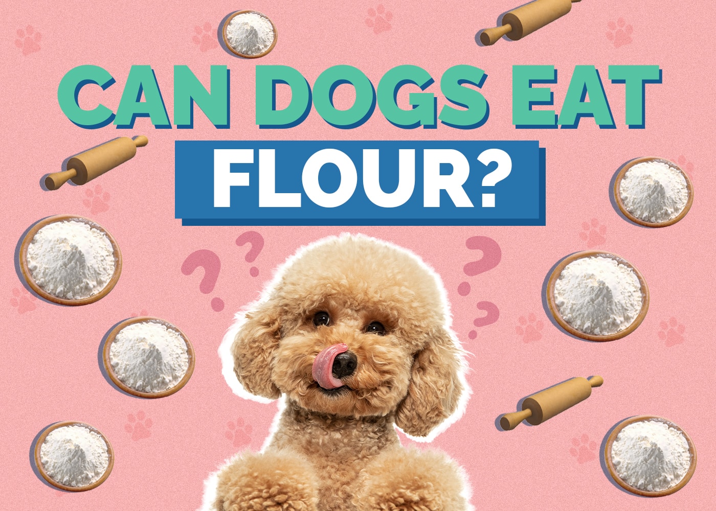 Can Dogs Eat Flour