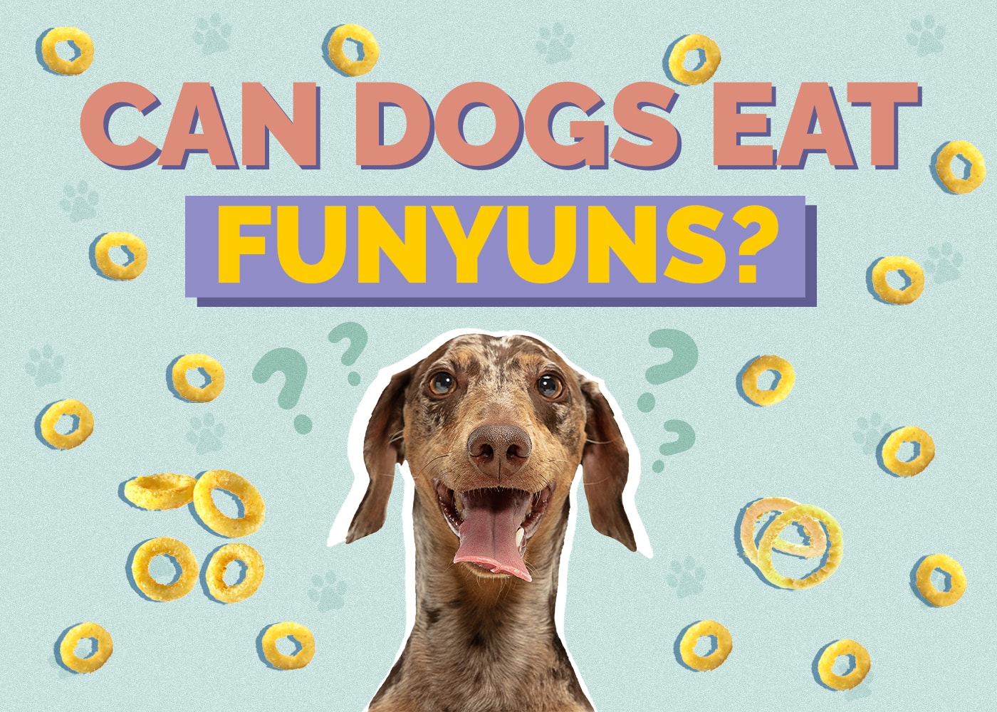 Are funyuns on sale bad for dogs
