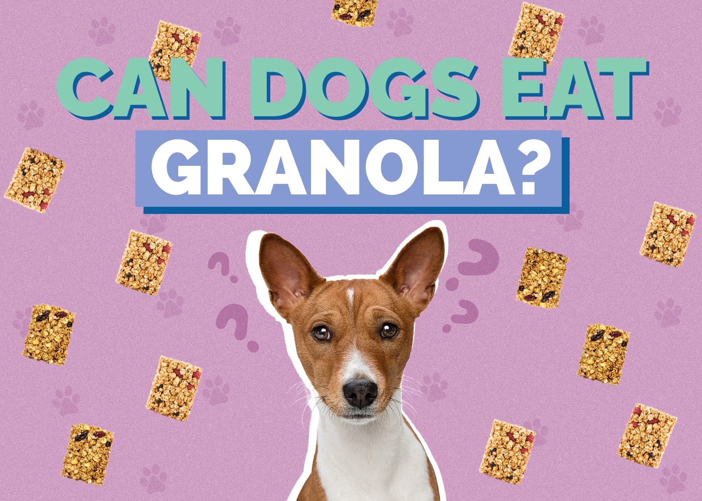 Can Dogs Eat Granola