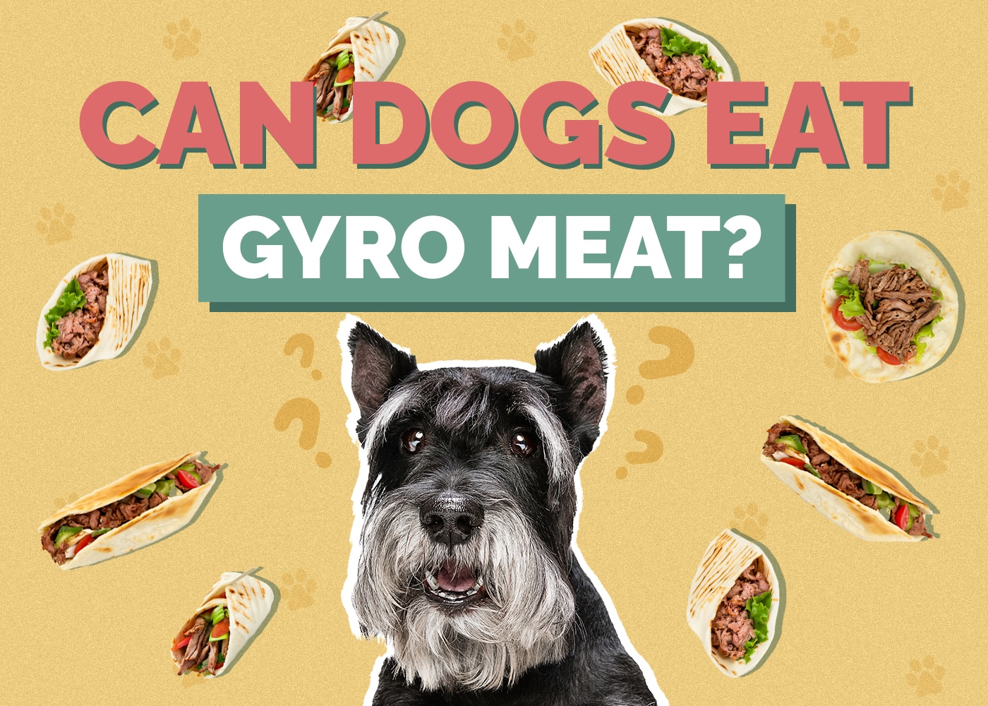 Can Dogs Eat Gyro Meat