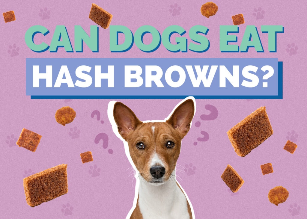 Can Dogs Eat Hash Browns