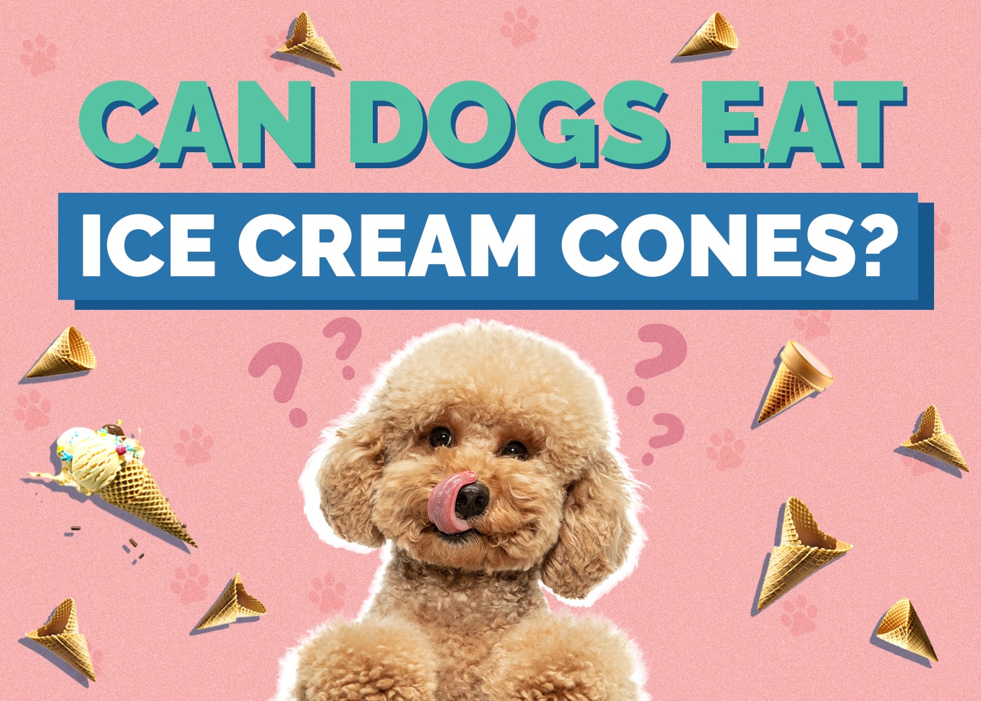 Can Dogs Eat Ice Cream Cones