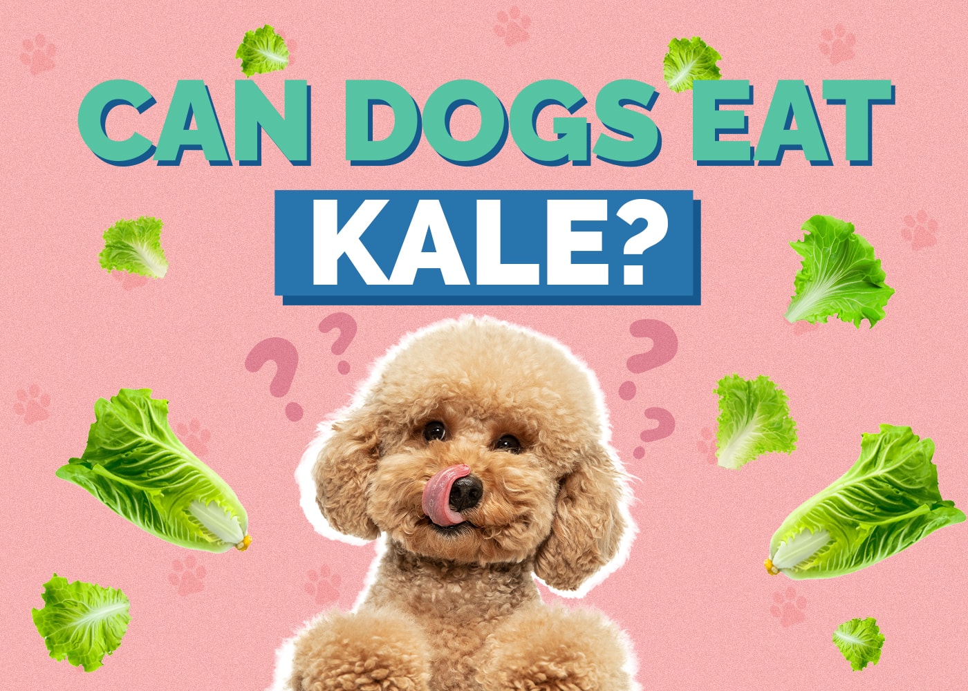 Can Dogs Eat Kale