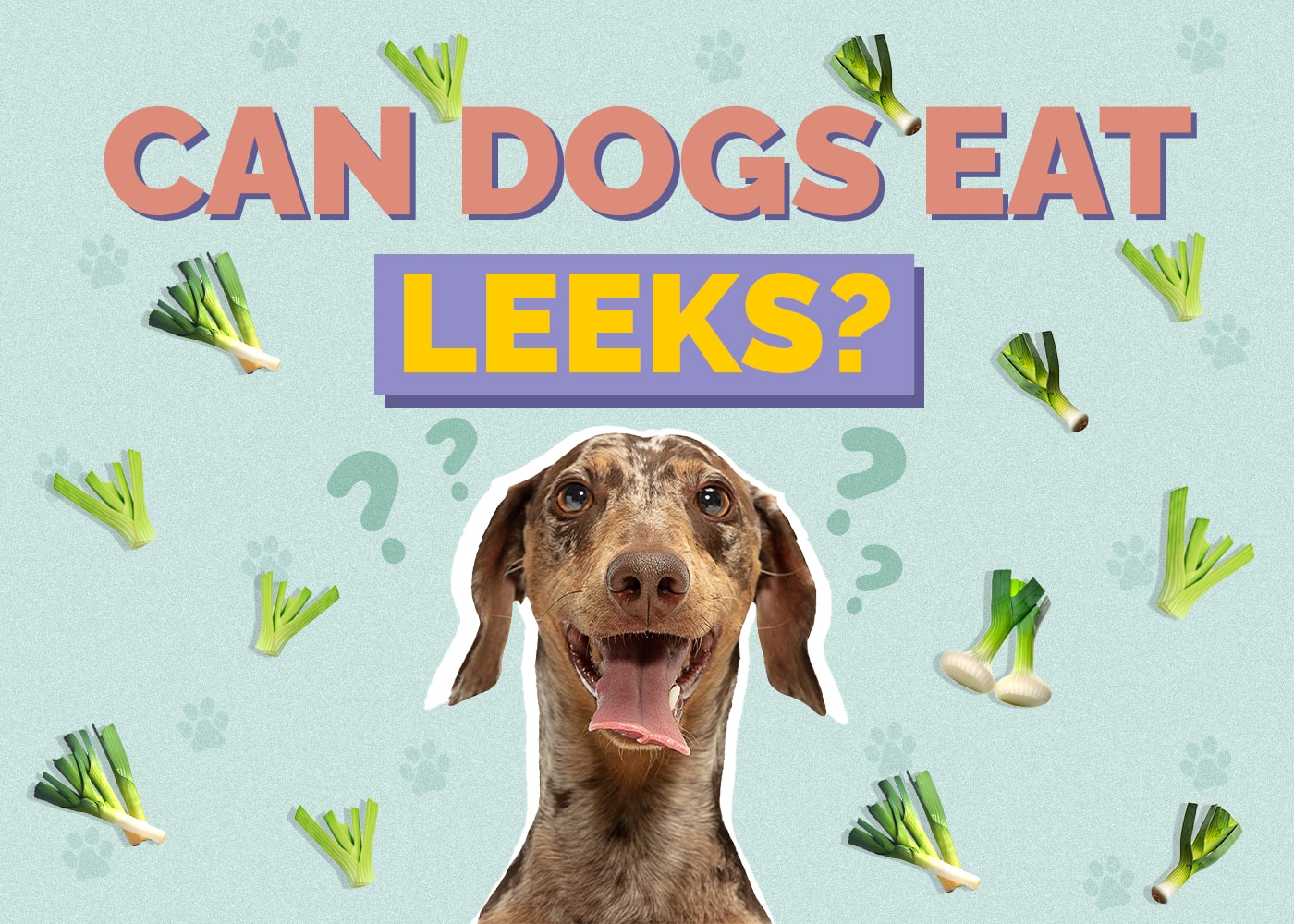 Can Dogs Eat Leeks