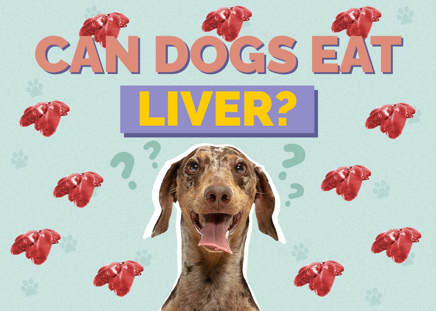 Can Dogs Eat Liver