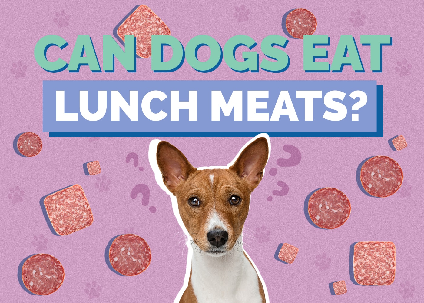 Can Dogs Eat Lunch Meats