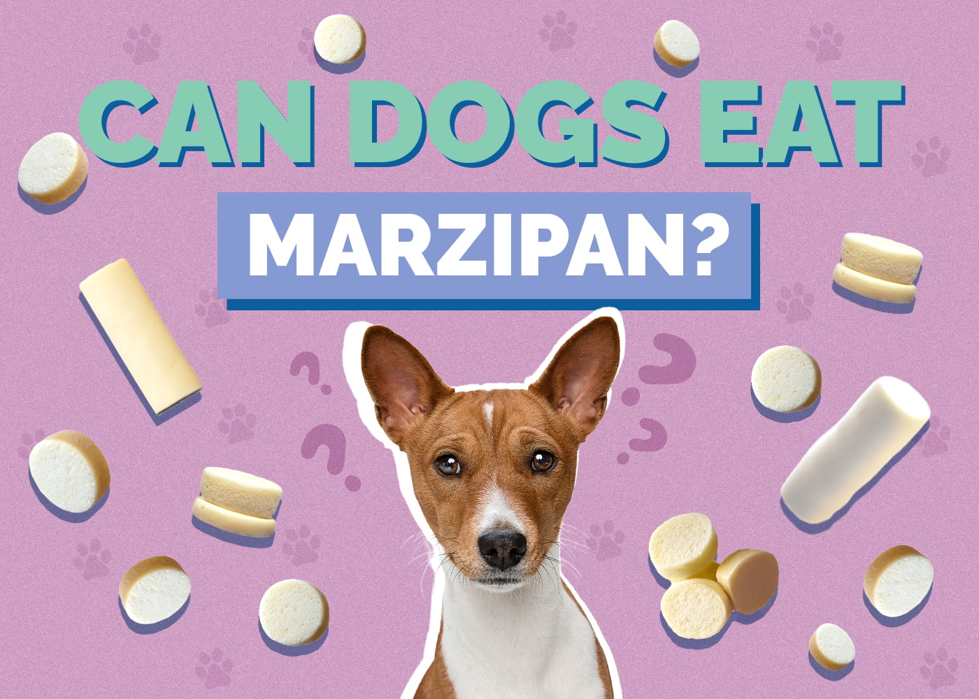 Can Dogs Eat Marzipan