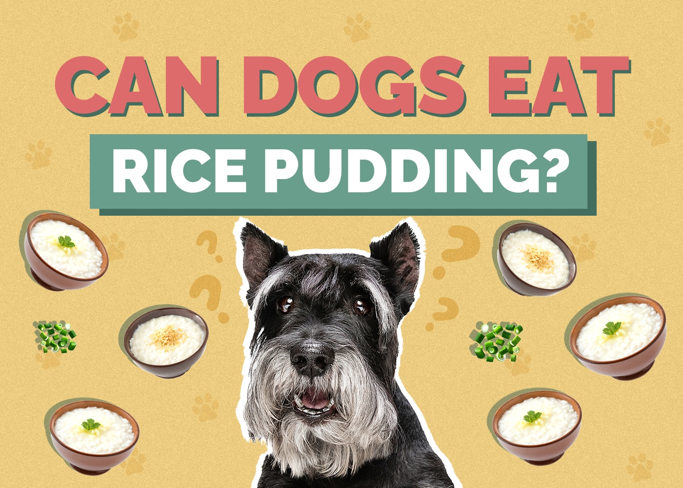 Can Dogs Eat Rice Pudding
