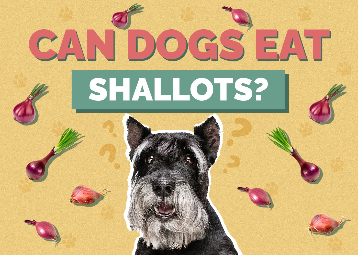 Can Dogs Eat Shallots