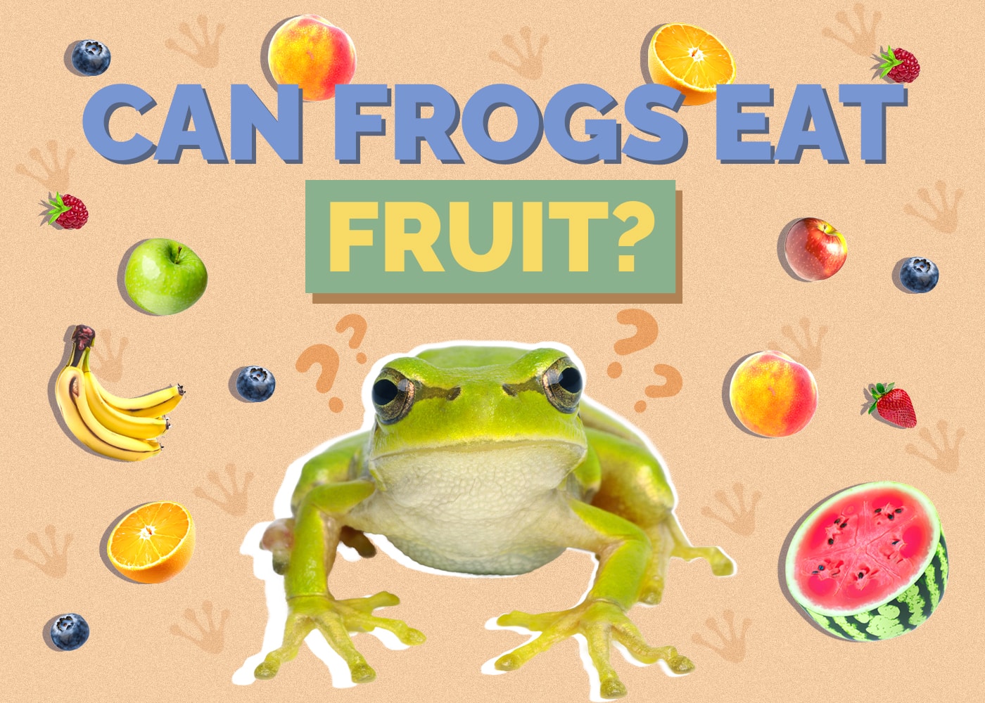 Can Frogs Eat Fruit
