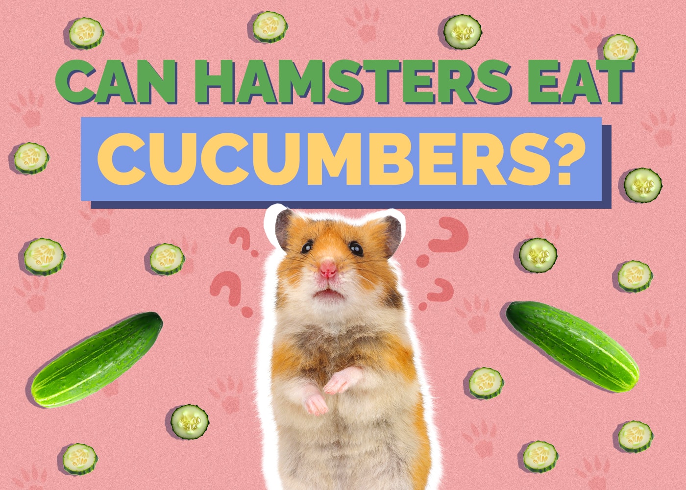 Can Hamsters Eat Cucumbers