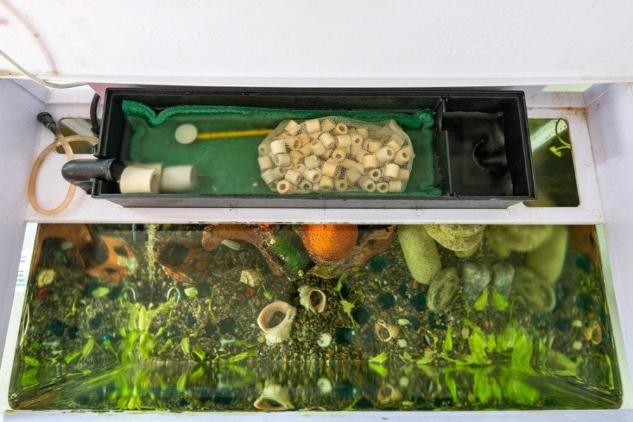 What are Ceramic Rings for Fish Tank? What are Ceramic Rings for Fish Tank