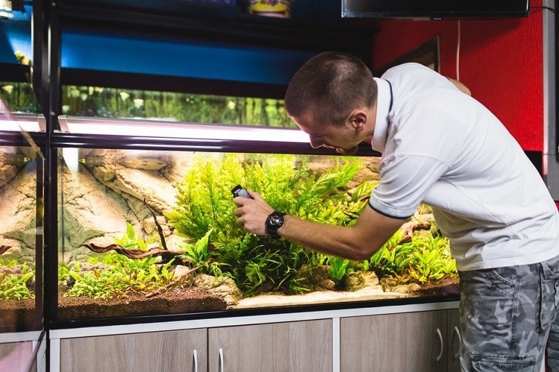 cleaning aquarium