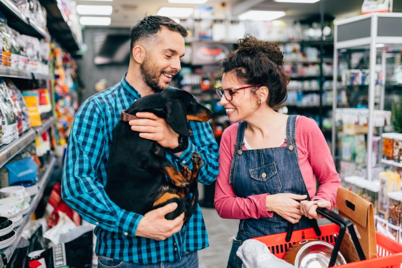 couple with dachshund in pet shop