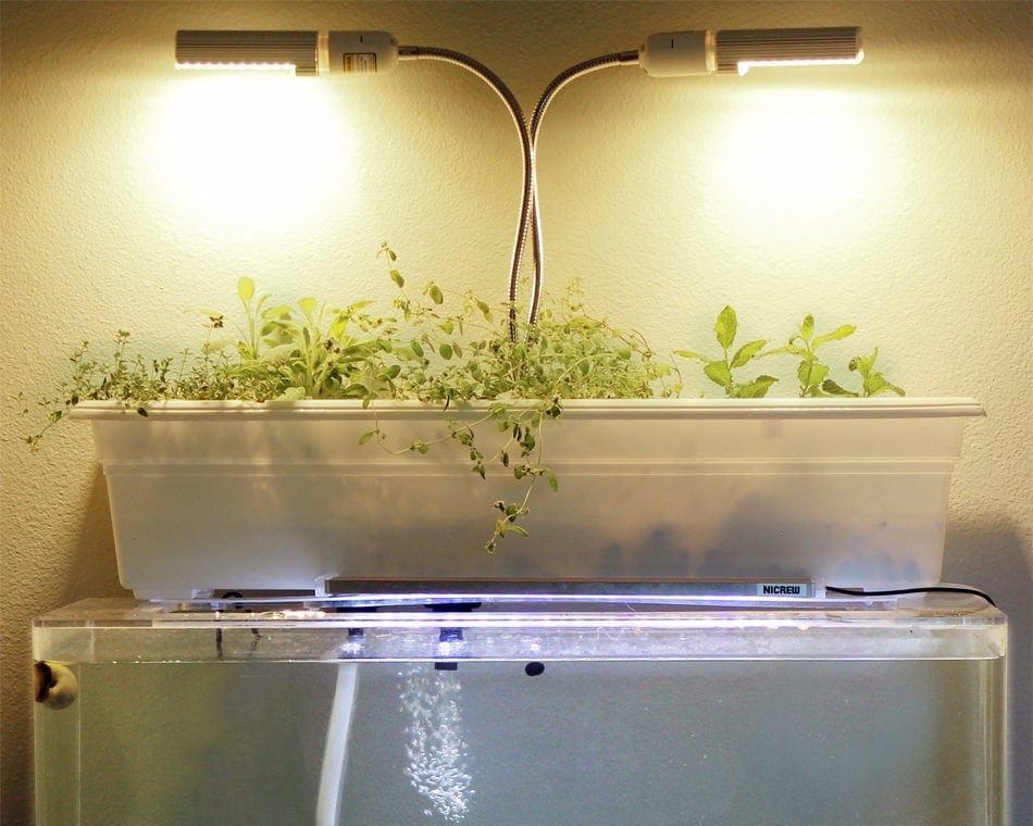 Aquaponics filter fish tank hotsell