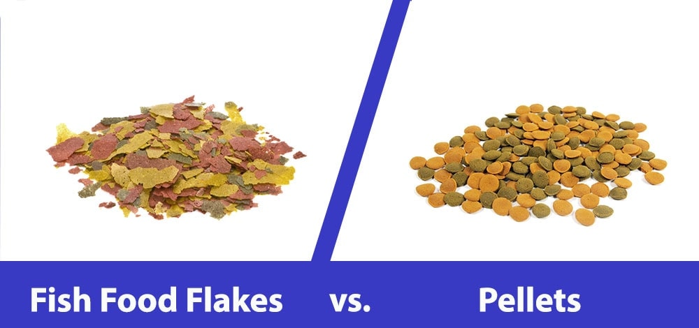 Fish Pellets fish-pellets