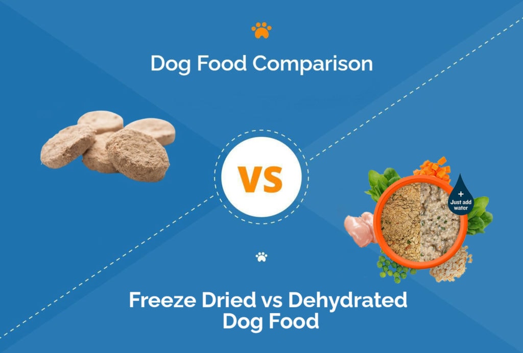 FreezeDried vs Dehydrated Dog Food VetReviewed Differences, Pros