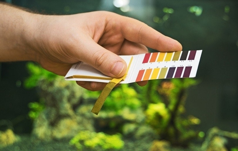 tổ chức kiểm tra PH trước hồ cá nước ngọt