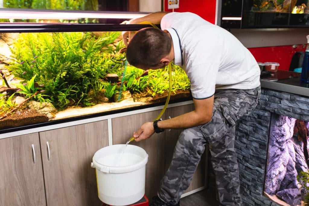 A man with hose and bucket, changing the water in a well planted, large aquarium