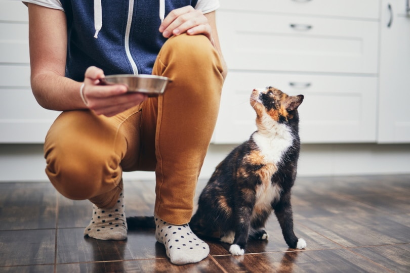 man holding cat bowl