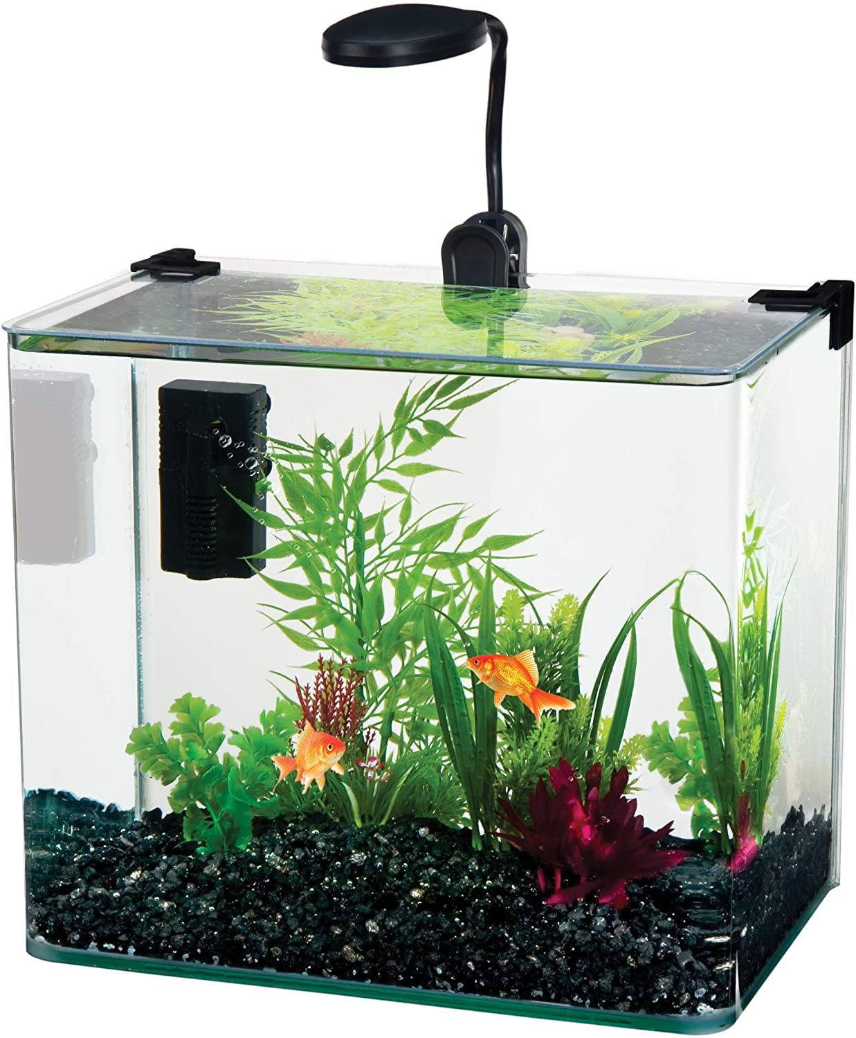 penn plax rimless tank