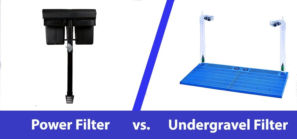 power vs under gravel header