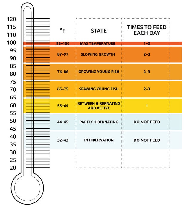 heater temperature for goldfish heater temperature for goldfish